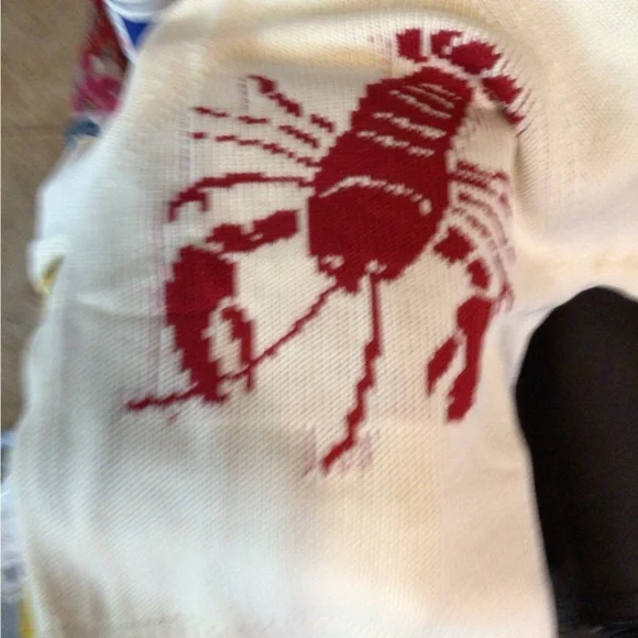 Sale ! Boho Lobster Shawl cardigan ♥️ - Picture 4 of 5